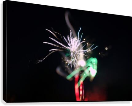 Sparkler 2 Canvas Print