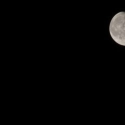 Mooning