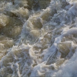 Rapids