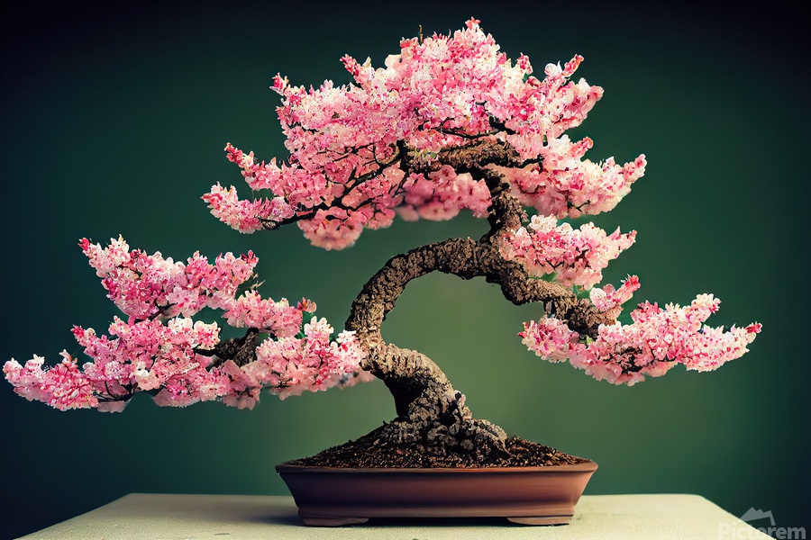 moos für bonsai Wandkunst aus Moos 
