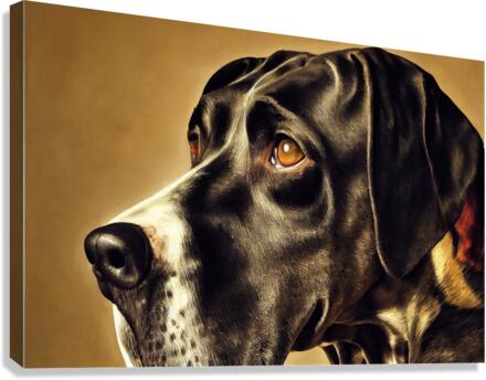 Great Dane Canvas Print