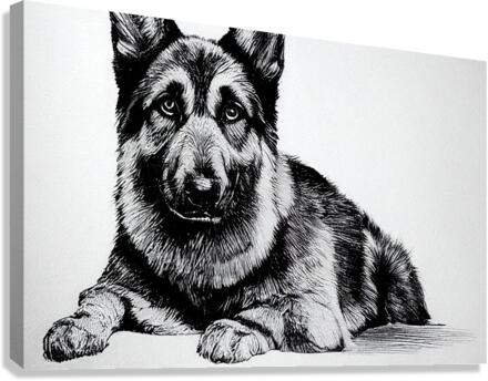German Shepard Canvas Print