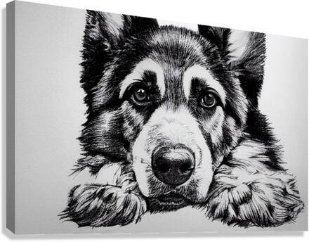 German Shepard Canvas Print