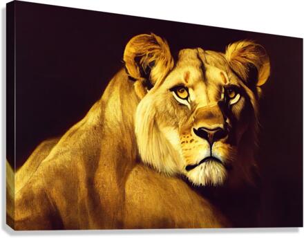 Lioness Canvas Print