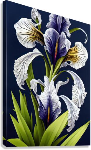 Iris Pseudacorus Canvas Print
