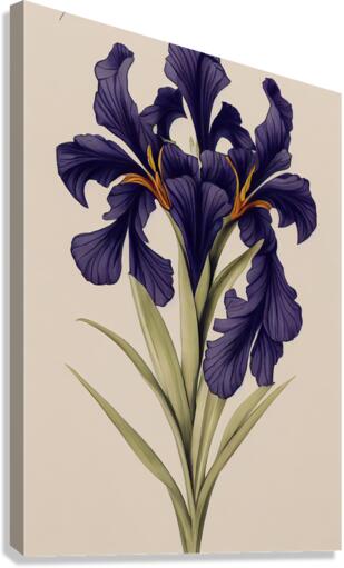 Iris Pseudacorus Canvas Print