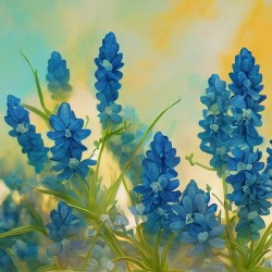 Texas Bluebonnets