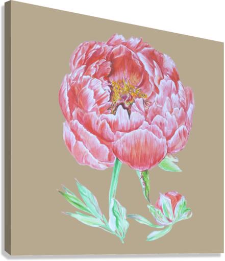 peony33 Canvas Print