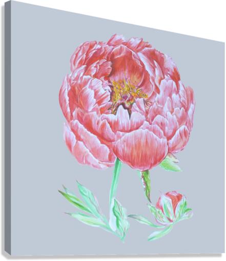 peony32 Canvas Print