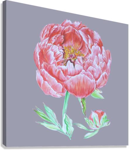 peony38 Canvas Print