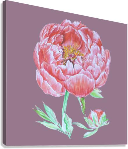peony37 Canvas Print