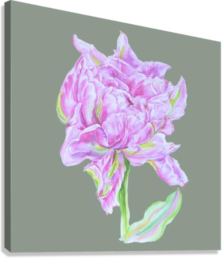 tulip39 Canvas Print