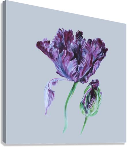 tulip204 Canvas Print