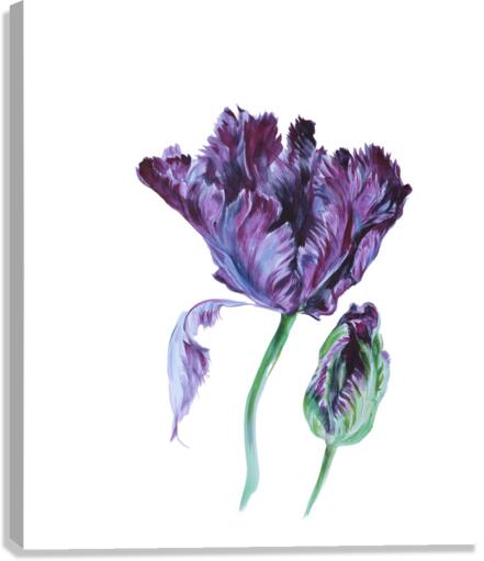 tulip202 Canvas Print