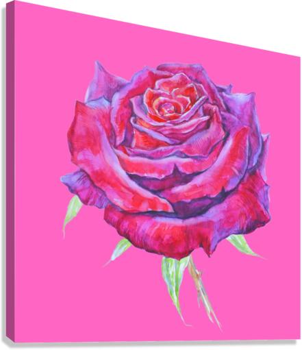 Rose16 Canvas Print