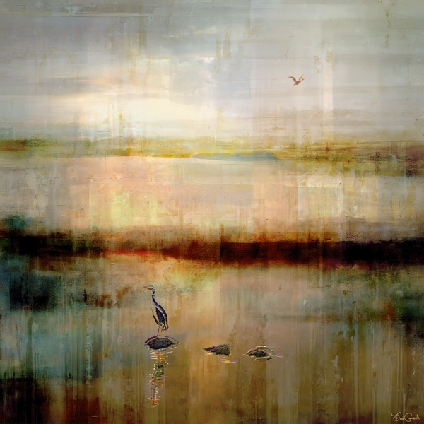 Potter Pond - Abstract Art by Jaison Cianelli
