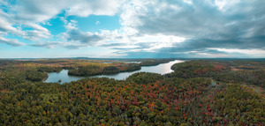 Chartreuse Forest on Deer Lake
