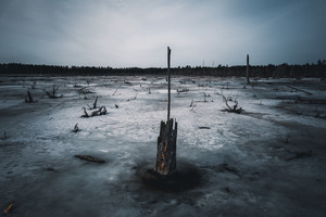 LeVasseur Wood 23  2