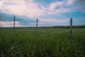 Soft Sky Scene Close 1 of 1