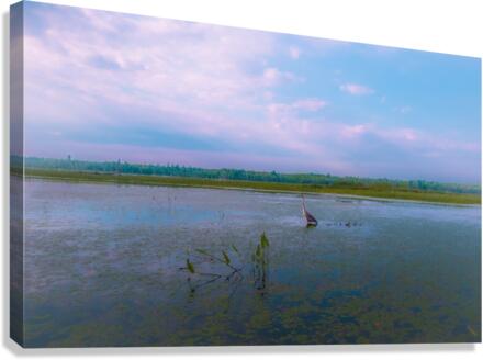 Soft Bird Rev Canvas Print
