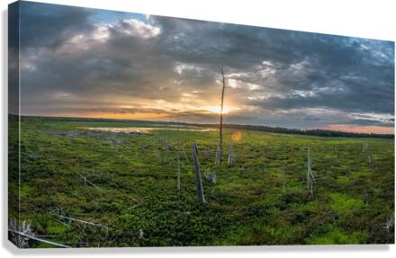 Levasseur Canvas Print
