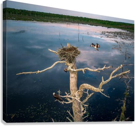 Shift Change Canvas Print