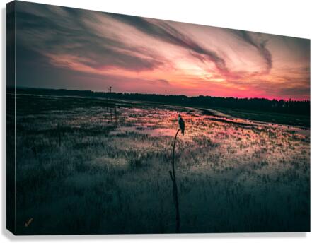 Pops on Fire Canvas Print