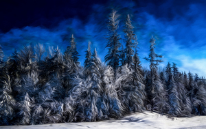Saskatchewan Forest 12