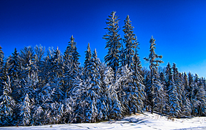 Saskatchewan winter