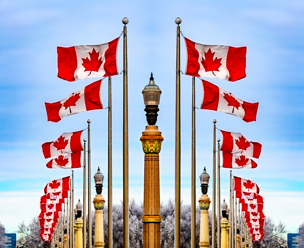 Canadian Flags by Mark Greschner 