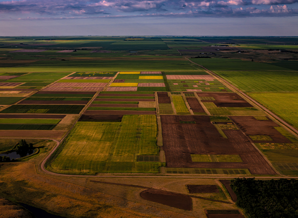  Saskatchewan Print