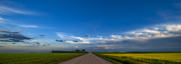 Saskatchewan Grid Road by Mark Greschner 