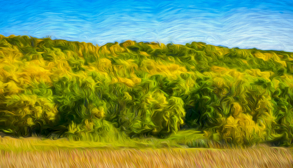 Saskatchewan Lumsden Valley  21 by Mark Greschner 