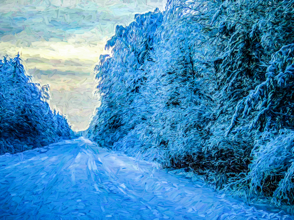 Saskatchewan winter road30 by Mark Greschner 