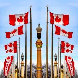 Canadian Flags