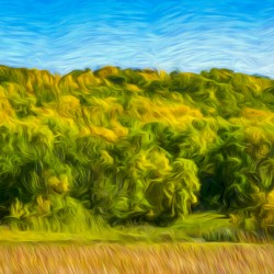 Saskatchewan Lumsden Valley  21