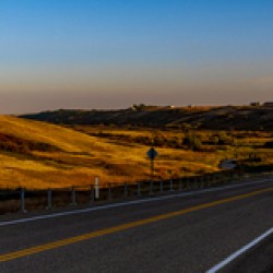 Saskatchewan  41