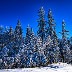 Saskatchewan winter