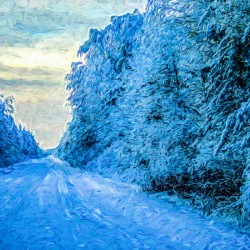 Saskatchewan winter road30