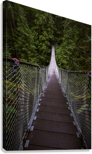 Suspension bridge  Canvas Print