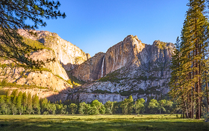 Yosemite Falls View