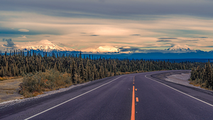 Denalis Roadside Majesty
