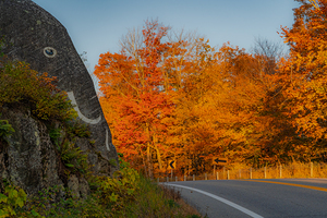 Granites Golden Autumn Curve