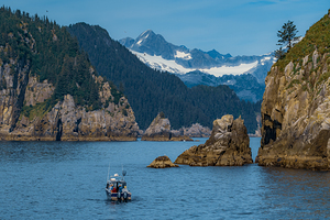 Kenai Fjords Vista