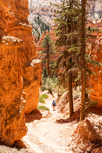 Bryce Hike