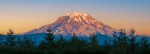 Western Rainier Sunset