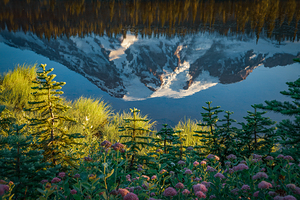 Serious Reflection