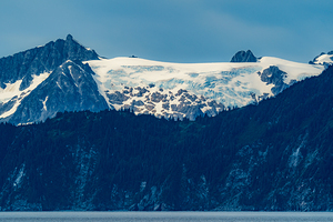 Icefield Glaciers