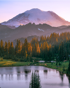 Tipsoo Lake View