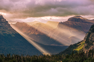 Logan Pass Sunbeams